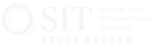 Sit Study Abroad Website Academy 1