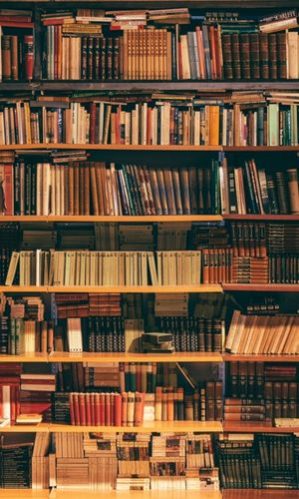 Promocao e Dinamizacao Cultural e Educativa de Arquivos e Bibliotecas dest